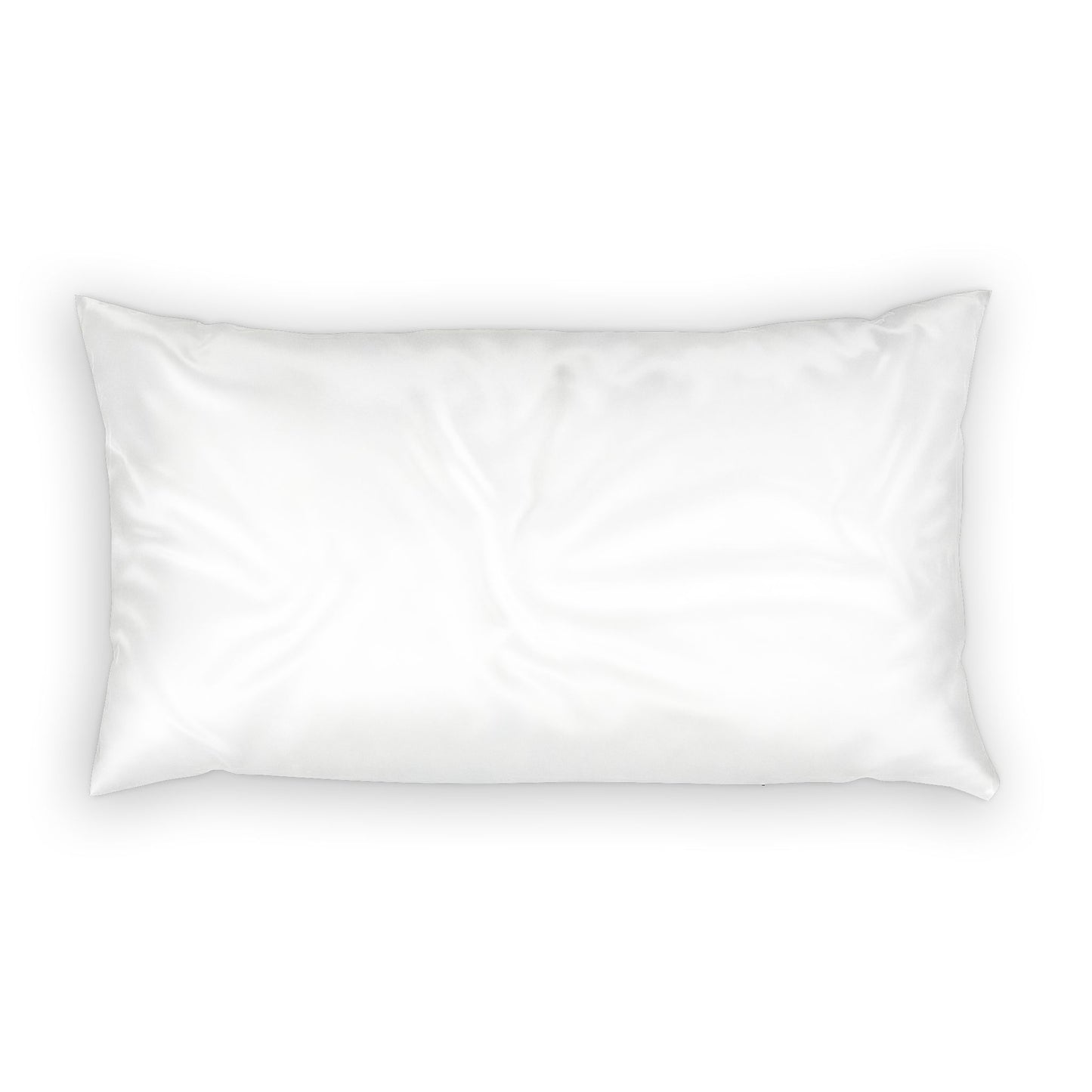 Moth & Golden Leaf Cotton Pillow Sham — Sky Blue Decorative Pillowcase