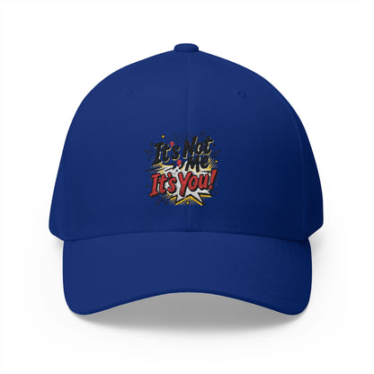 Embroidered 'It's Not Me, It's You!' Cap — Funny Statement Baseball Hat