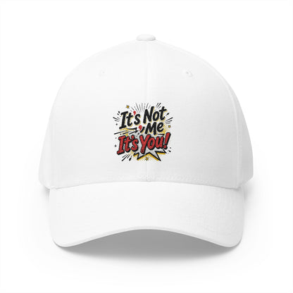 Embroidered 'It's Not Me, It's You!' Cap — Funny Statement Baseball Hat