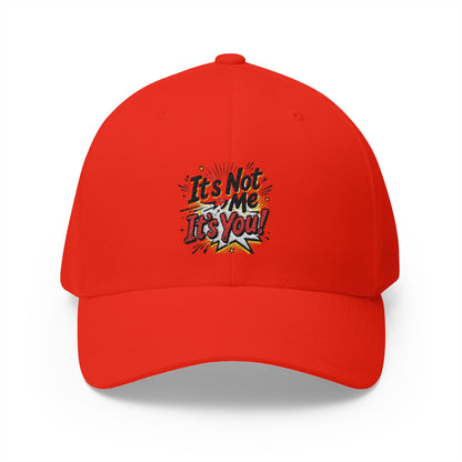 Embroidered 'It's Not Me, It's You!' Cap — Funny Statement Baseball Hat